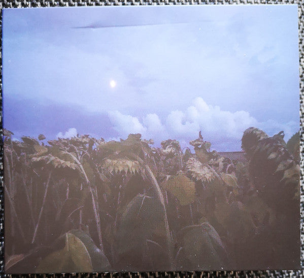 Bob Bellerue And John Duncan : Blinding Turbulence (CD, Album)